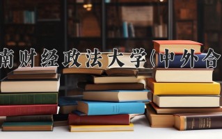 2024中南财经政法大学(中外合作)录取分数线，重庆录取最低分497