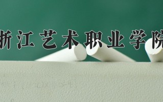 2024年浙江艺术职业学院录取分数线，新疆最低291分