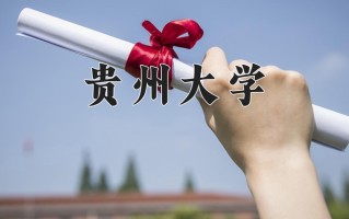2024年贵州大学录取分数线，新疆最低446分