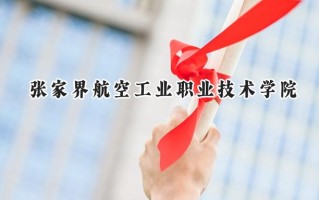 2024张家界航空工业职业技术学院录取分数线：陕西最低379分