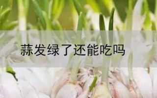 蒜发绿了还能吃吗