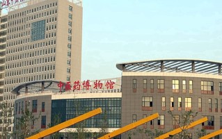 2024年山东中医药高等专科学校录取分数线，新疆最低250分