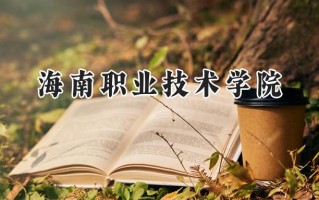 海南职业技术学院2024在江苏录取分数线是多少？最低262分/最高371分