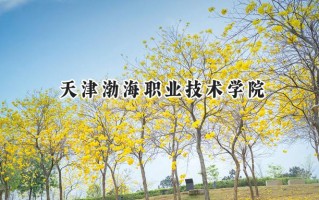 天津渤海职业技术学院2024在青海录取分数线是多少？最低281分/最高327分