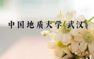 2024年中国地质大学(武汉)录取分数线，内蒙古最低541分