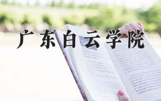 2024年广东白云学院录取分数线，河北最低452分