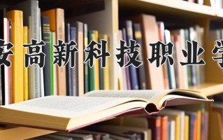 2024年西安高新科技职业学院录取分数线，河北最低323分