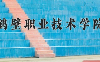 2024鹤壁职业技术学院录取分数线，重庆录取最低分303