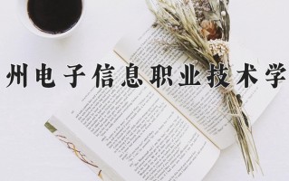 2024年贵州电子信息职业技术学院录取分数线，青海最低236分