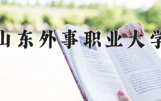 2025年山东外事职业大学在四川计划招生人数（附学费及专业录取分)