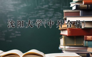 2024沈阳大学(中外合作)录取分数线，重庆录取最低分498