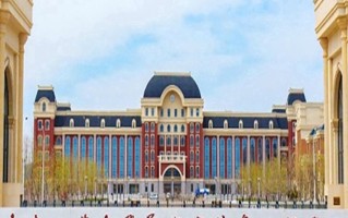 2024年大连工业大学艺术与信息工程学院录取分数线，新疆最低262分