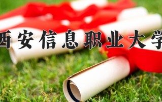 2024年西安信息职业大学录取分数线，青海最低243分