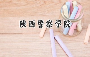 陕西警察学院2024在山东录取分数线是多少？最低463分/最高478分