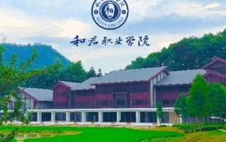 2024年和君职业学院录取分数线，河北最低263分