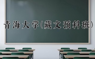 2024年青海大学(藏文预科班)录取分数线，青海最低398分