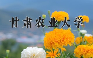 2024年甘肃农业大学录取分数线，新疆最低349分
