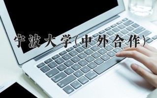2024宁波大学(中外合作)录取分数线，重庆录取最低分522