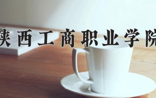 2025年陕西工商职业学院在四川计划招生人数（附学费及专业录取分)