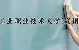 2024年河北工业职业技术大学(宣钢分院)录取分数线，河北最低377分