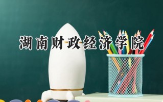 湖南财政经济学院2024在福建录取分数线是多少？最低501分/最高538分