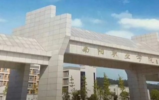 2024年南阳职业学院录取分数线，青海最低252分