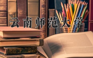云南557分能上什么大学？附2025年可以报考的大学名单