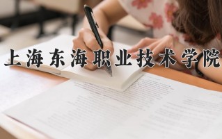 2025年上海东海职业技术学院在新疆计划招生人数（附学费及专业录取分)