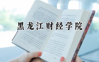 2024黑龙江财经学院录取分数线：天津最低460分