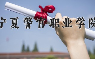 2024年宁夏警官职业学院录取分数线，新疆最低236分