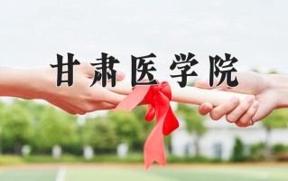 2024年甘肃医学院录取分数线，河北最低509分