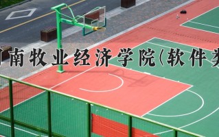 计算机网络技术学费多少？附河南2024年招生的大学