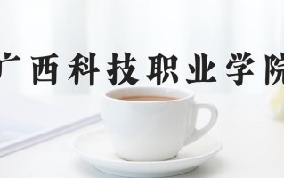 2024广西科技职业学院录取分数线，重庆录取最低分180