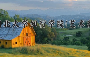 2024年湖北大学知行学院(艺术类)录取分数线，河北最低467分