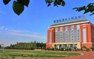 2024年鹤壁能源化工职业学院录取分数线，河北最低357分