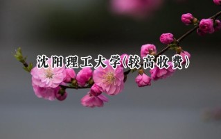 2024沈阳理工大学(较高收费)录取分数线：河南最低479分