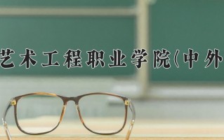 2024重庆艺术工程职业学院(中外合作)录取分数线，重庆录取最低分221