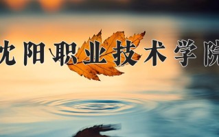 2025年沈阳职业技术学院在四川计划招生人数（附学费及专业录取分)