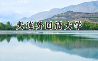 2024大连外国语大学录取分数线：山西最低489分