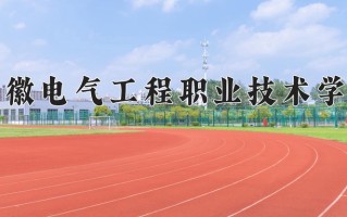 2024年安徽电气工程职业技术学院录取分数线，青海最低297分