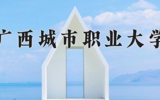2024年广西城市职业大学录取分数线，宁夏最低372分