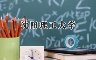 2024沈阳理工大学录取分数线：陕西最低476分