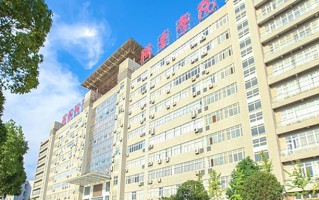 2024武汉城市职业学院录取分数线，重庆录取最低分391