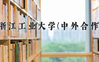 2024浙江工业大学(中外合作)录取分数线，重庆录取最低分486
