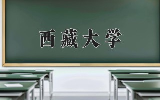 2024西藏大学录取分数线：浙江最低575分