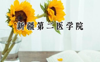 新疆第二医学院2024在山东录取分数线是多少？最低482分/最高537分