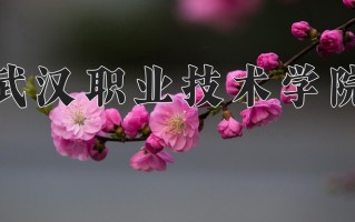 武汉职业技术学院一年学费多少钱及各专业的收费标准(2025参考）