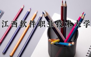 2024年江西软件职业技术大学录取分数线，青海最低217分