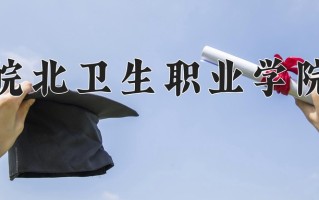 2024年皖北卫生职业学院录取分数线，河北最低384分