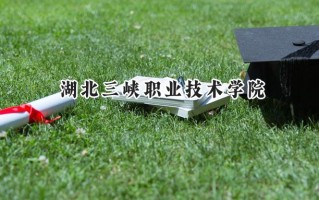 2024湖北三峡职业技术学院录取分数线：宁夏最低289分